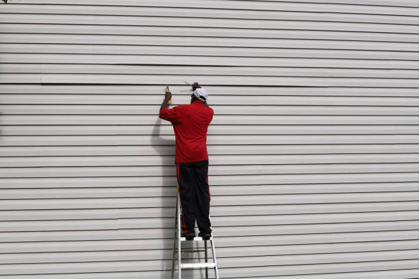 Best Custom Siding Design  in Magna, UT
